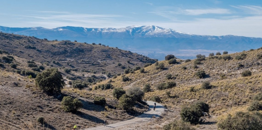 Captura de pantalla 2025-12-15 a las 11.28.57