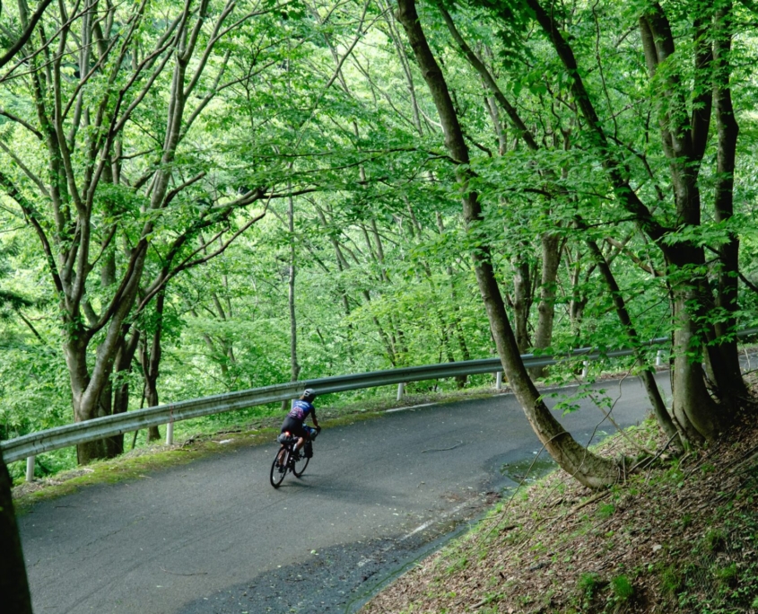 JAPAN MAY 2024-395